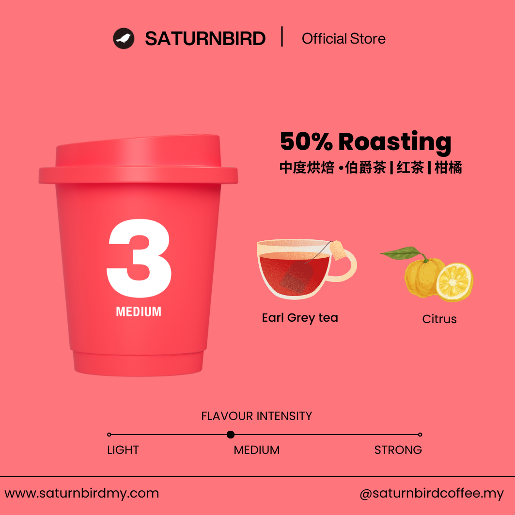 SATURNBIRD Specialty Coffee Instant Cold Brew Coffee | NO.3 MEDIUM+ | 24 pcs | 3g per serving