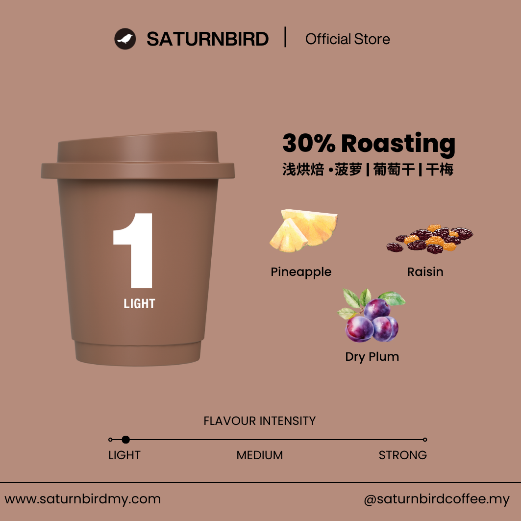 SATURNBIRD Specialty Coffee Instant Cold Brew Coffee | NO.1 LIGHT | 24 pcs | 3g per serving