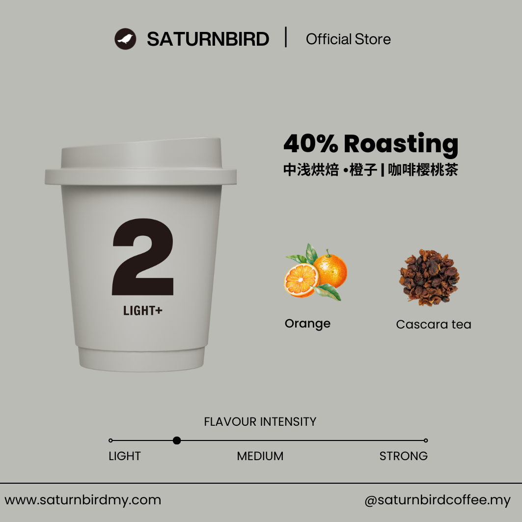 SATURNBIRD Specialty Coffee Instant Cold Brew Coffee | NO.2 LIGHT+ | 24 pcs | 3g per serving